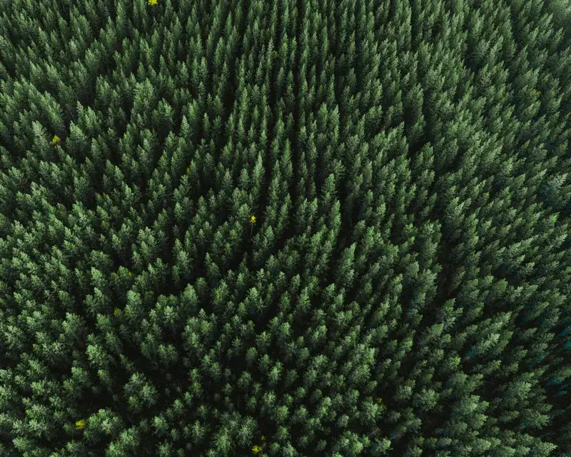 Cover Image for Exploring the Outdoors: Gear for Nature Enthusiasts