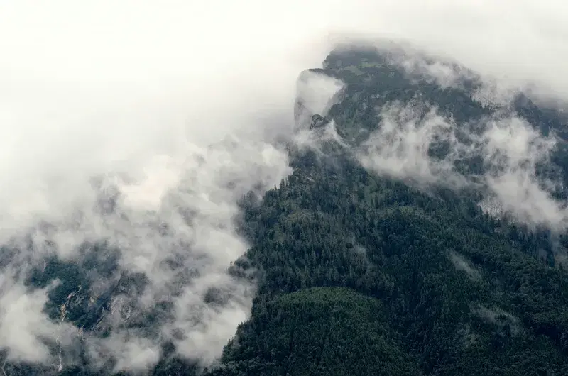 Cover Image for Top Adventure Gear for Exploring Cloud-Covered Mountains