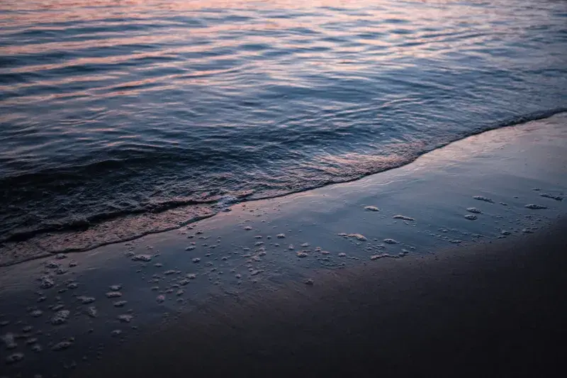 Cover Image for Essential Gear for Beach Adventures: Making the Most of Your Shoreline Experience