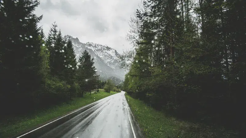 Cover Image for Best Gear for Exploring Nature Trails