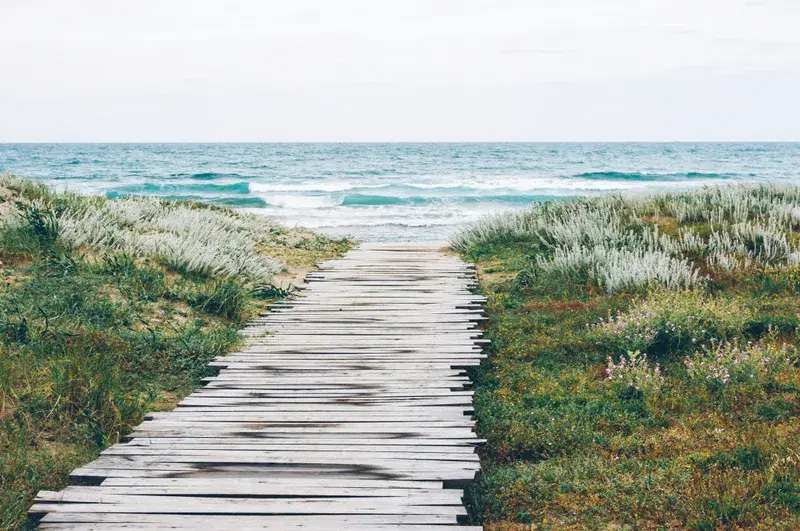 Cover Image for Best Outdoor Gear for Beach Walks and Nature Trails