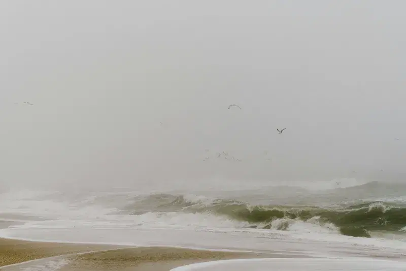 Cover Image for Exploring the Coast: Essential Gear for Beach Adventures