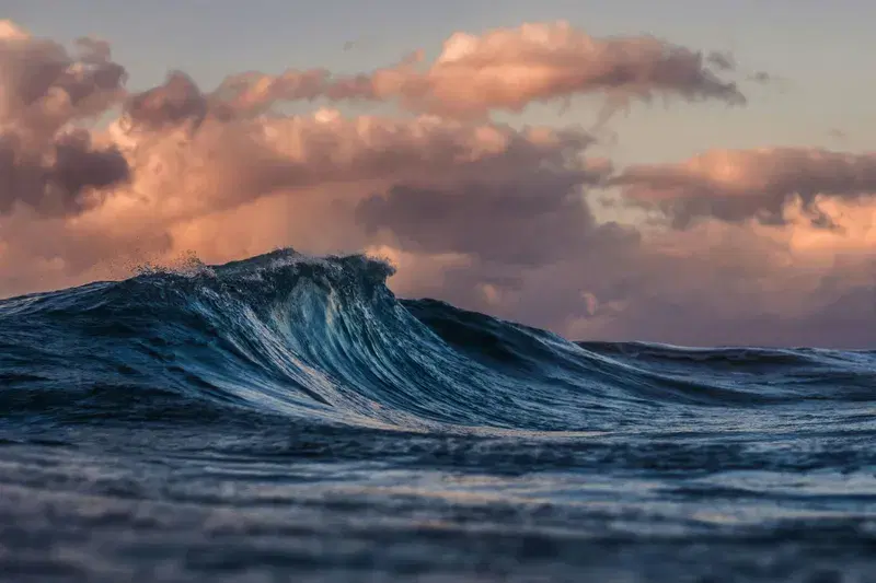 Cover Image for Exploring Coastal Adventures: Gear for Reef Diving and Beach Outings