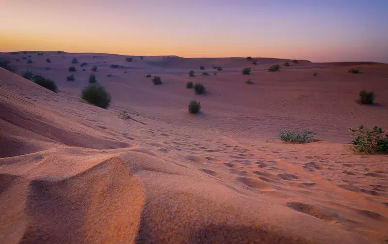 Cover Image for Essential Gear for Your Desert Safari Adventure