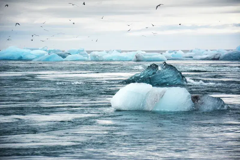 Cover Image for Essential Gear for Arctic Adventures: Navigating Icebergs and Cold Waters