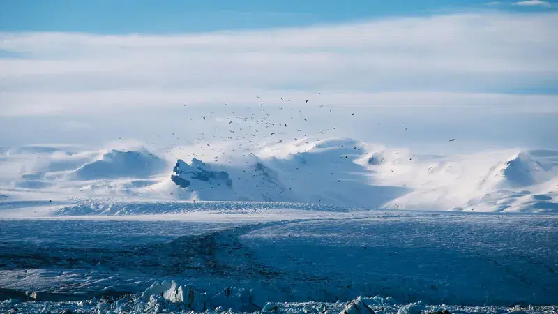 Cover Image for Essential Gear for Arctic Adventures: Explore the Snow-Covered Mountains