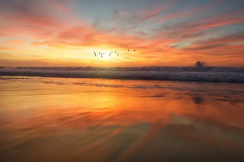 Cover Image for Essential Gear for Beach Sunrise Photography