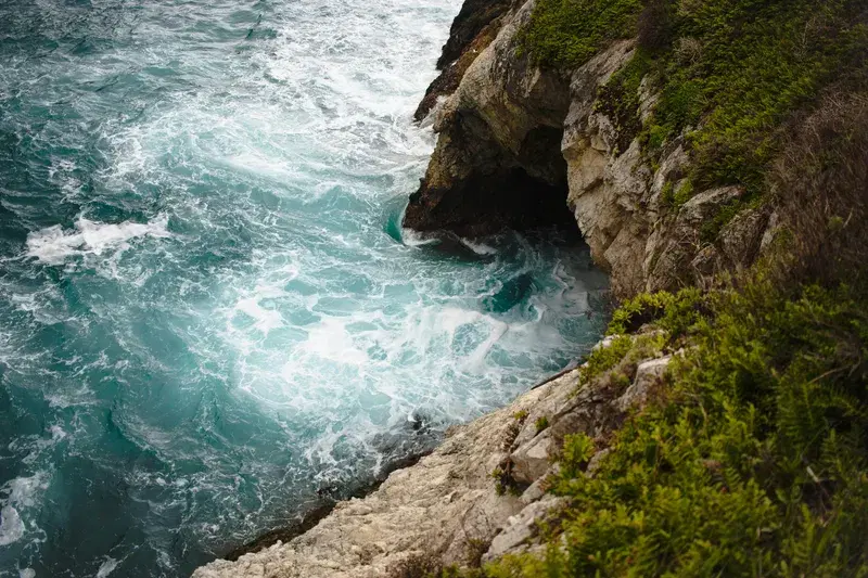 Cover Image for Essential Gear for Exploring Coastal Landscapes