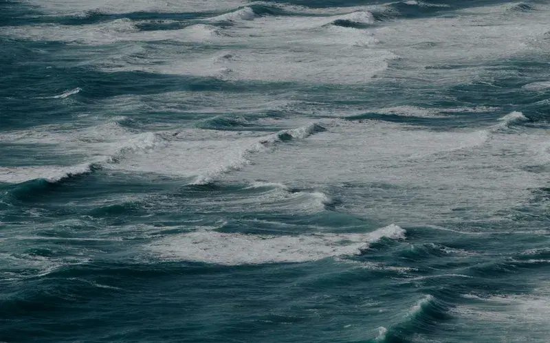 Cover Image for Essential Gear for a Day at the Beach: Surfing and Safety