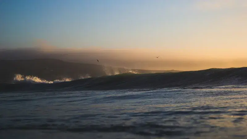 Cover Image for Essential Gear for a Day at the Beach: Embracing Nature