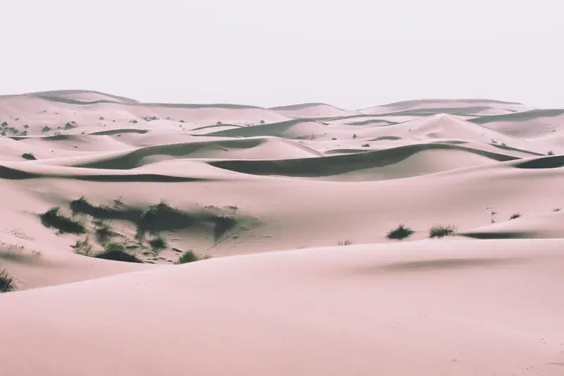 Cover Image for Essential Gear for Exploring the Majestic Desert Dunes