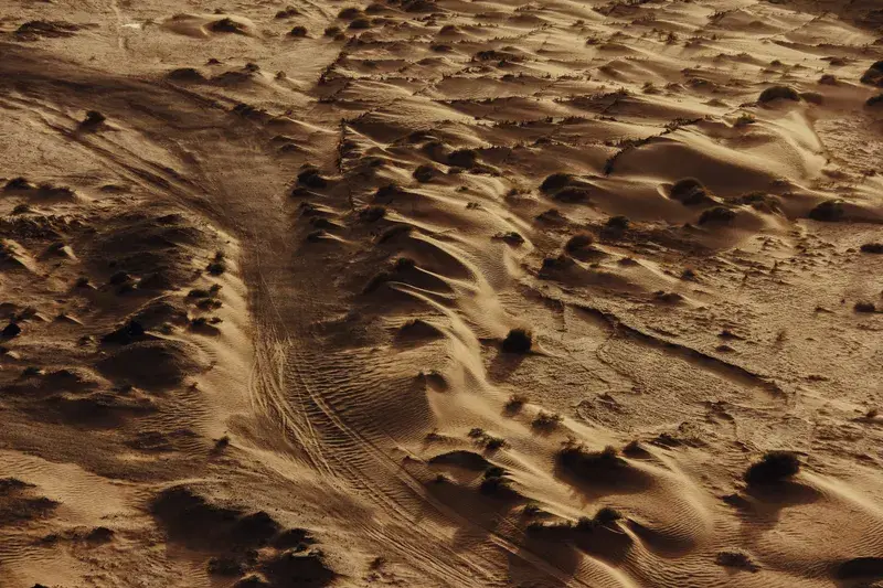 Cover Image for Essential Gear for Exploring Desert Landscapes