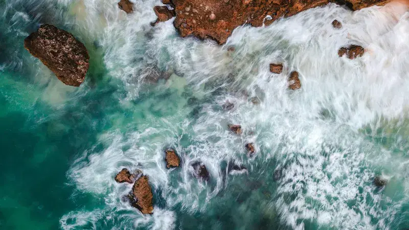 Cover Image for Essential Gear for Exploring Coastal and Marine Environments