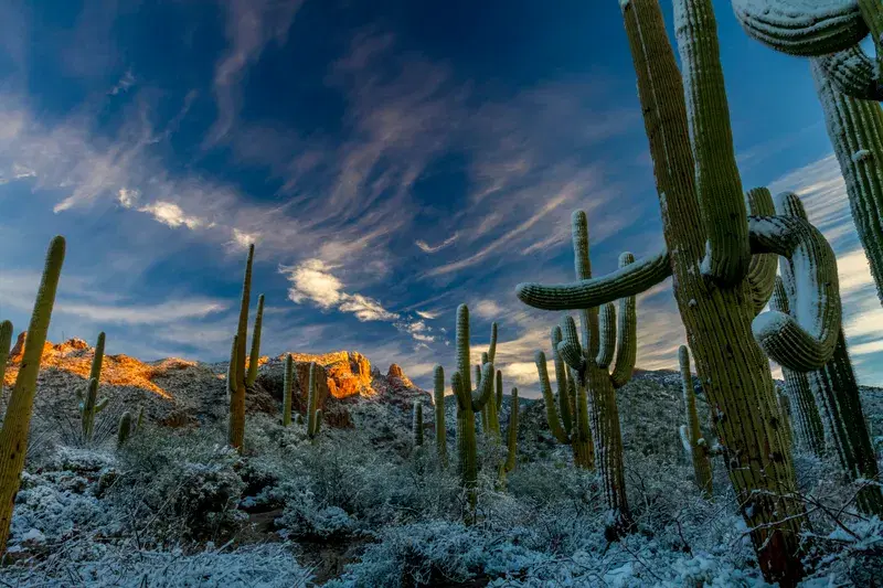 Cover Image for Essential Gear for Exploring Mountainous Wilderness