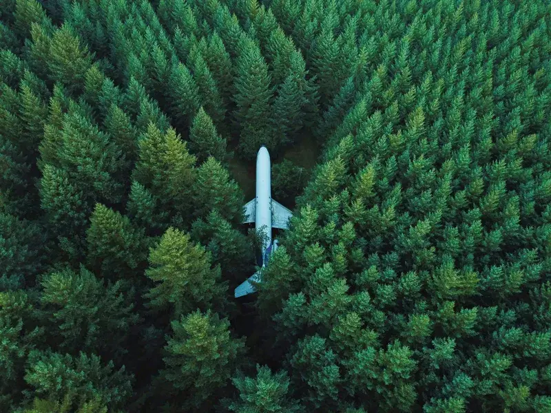 Cover Image for Essential Gear for Exploring Remote Forests