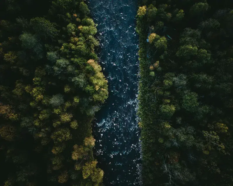 Cover Image for Essential Gear for Exploring River Shores and Woodlands