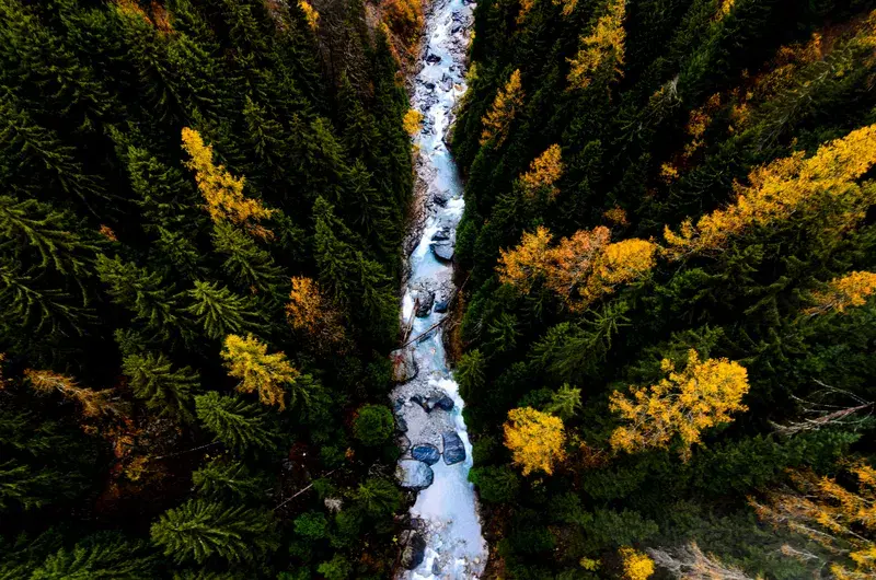 Cover Image for Essential Gear for Exploring Lush Forests and Waterfalls