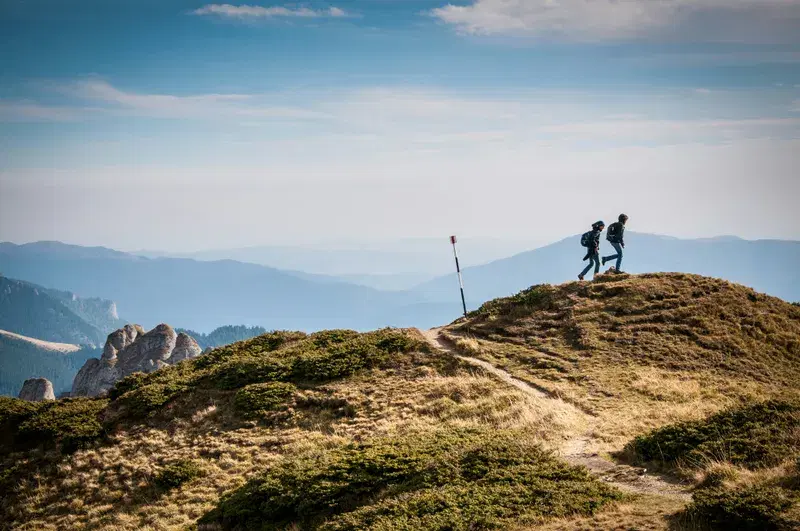 Cover Image for Essential Gear for Hiking Adventures