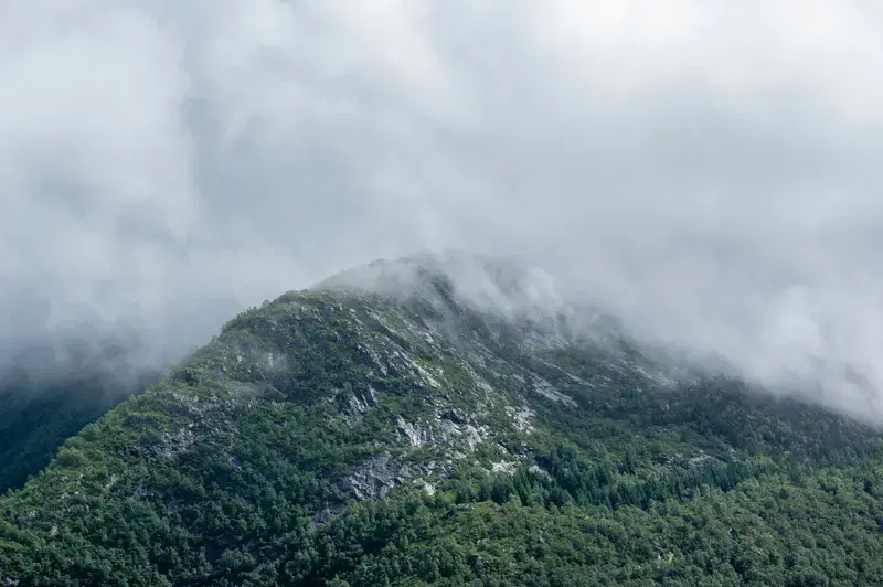 Cover Image for Essential Gear for Hiking Misty Mountain Trails