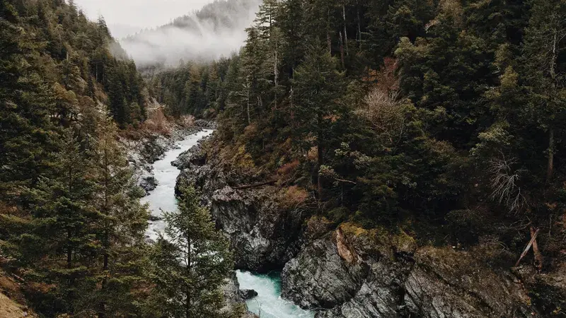 Cover Image for Essential Gear for Adventuring Along Scenic Rivers