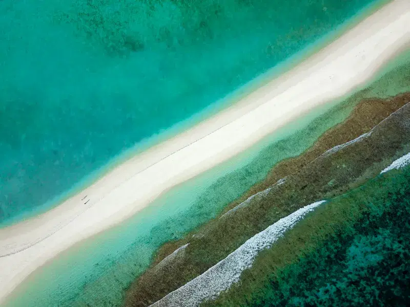 Cover Image for Essential Gear for Exploring Tropical Walkways