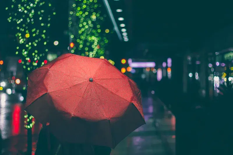 Cover Image for Essential Gear for Walking in the Rain: Staying Dry and Enjoying Nature