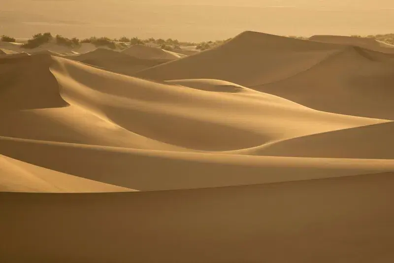 Cover Image for Essential Gear for Hiking in Desert Landscapes