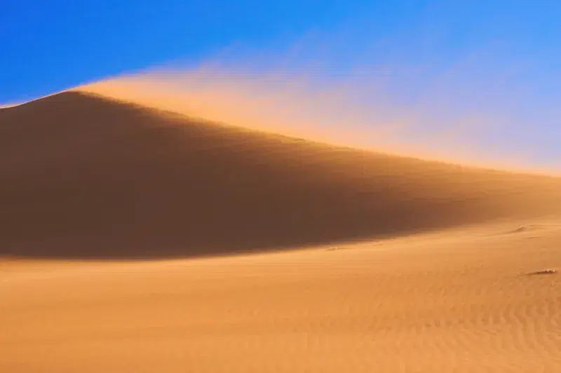 Cover Image for Essential Gear for Hiking Sand Dunes