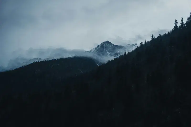 Cover Image for Essential Gear for Hiking in the Wilderness: Conquer the Green Mountains