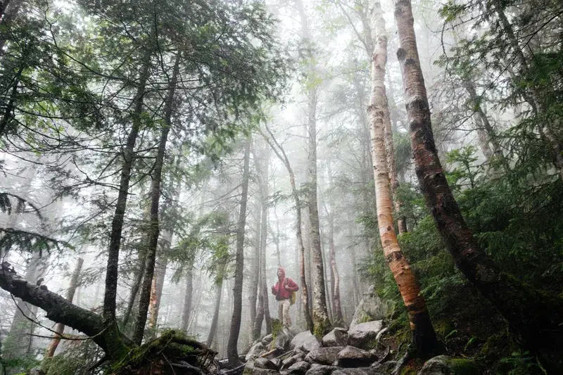 Cover Image for Essential Gear for Your Morning Hike in the Forest