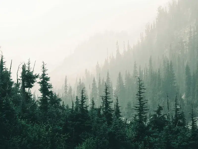 Cover Image for Essential Gear for Enjoying Scenic Wilderness Views