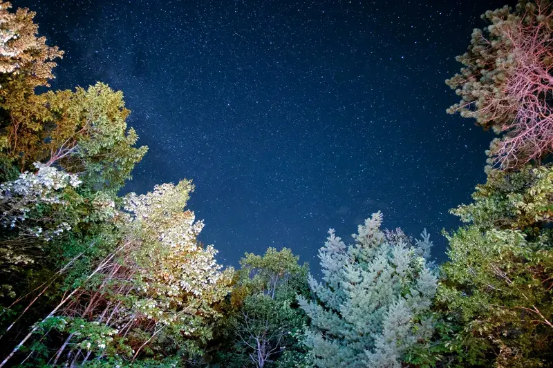 Cover Image for Essential Gear for an Unforgettable Camping Experience Under the Stars