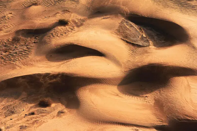 Cover Image for Essential Gear for Wilderness Exploration: Footprints in the Sand