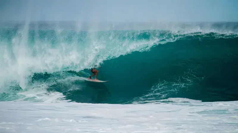 Cover Image for Essential Surfing Gear for Beginners