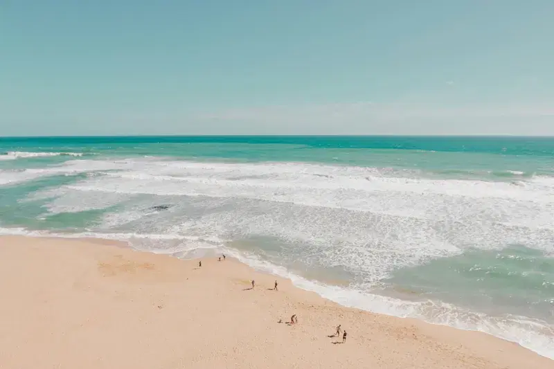 Cover Image for Exploring Beaches: The Ultimate Guide to Outdoor Adventures