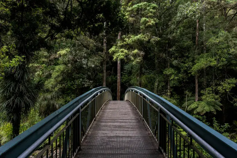 Cover Image for Exploring Nature: The Best Gear for Hiking to Whangarei Falls