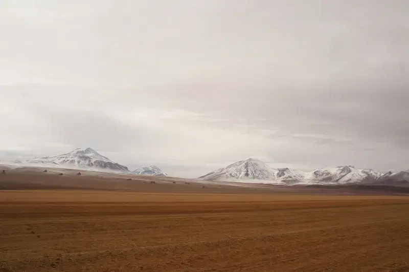 Cover Image for Exploring the Unique Landscapes: From Snowy Mountains to Desert Roads