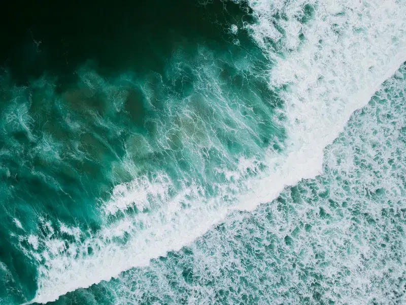 Cover Image for Exploring Water Sports: Surfing the Ocean Waves