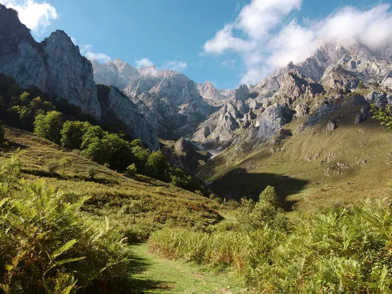 Cover Image for Exploring the Wilderness: Essential Gear for Mountain Adventures