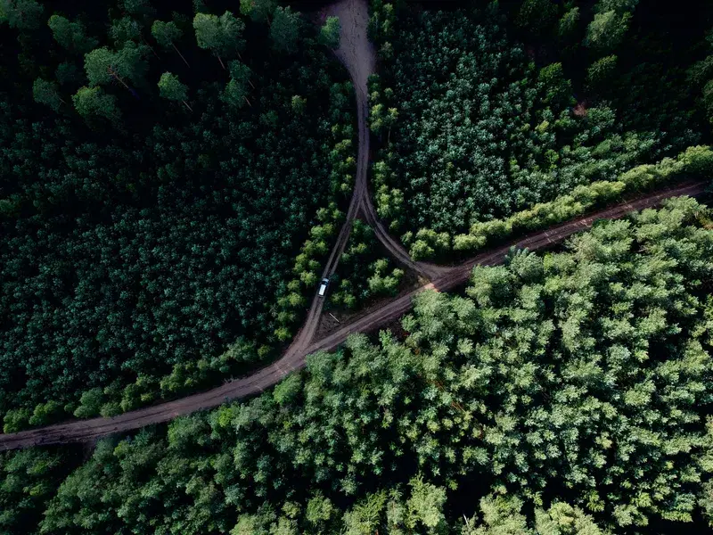 Cover Image for Essential Gear for Exploring Forest Trails