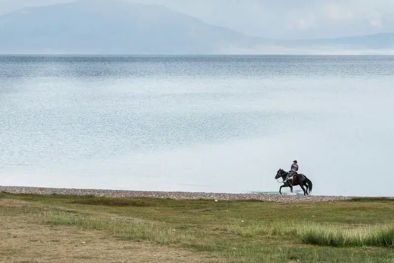 Cover Image for Essential Gear for Exploring Lakeshores on Horseback