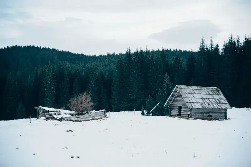 Cover Image for Essential Gear for a Winter Cabin Getaway