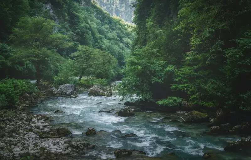 Cover Image for Essential Gear for Exploring Beautiful Landscapes: A Guide