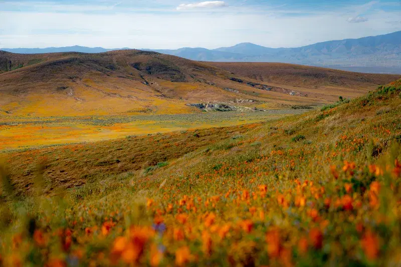 Cover Image for Best Gear for Exploring Mountain Ranges and Tundra Landscapes