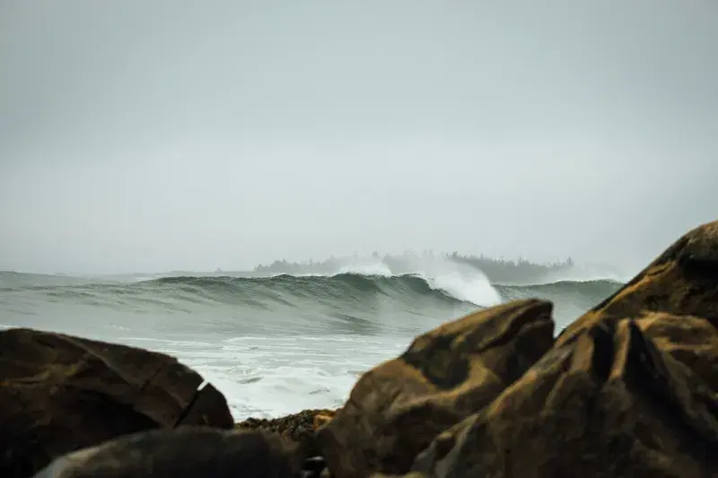 Cover Image for Surfing the Waves: Essential Gear for Ocean Adventures