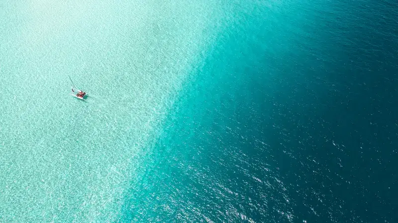 Cover Image for Top 5 Essential Gear for Diving in Tropical Waters