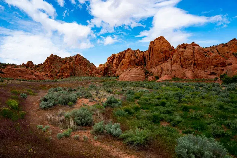 Cover Image for Top Hiking Trails in Utah: Explore Stunning Landscapes